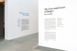 rapp.design